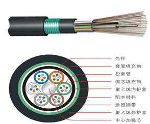 1542094295313544.jpg 未标题-1.jpg