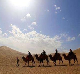 1542596281722345.jpg 标题-1.jpg